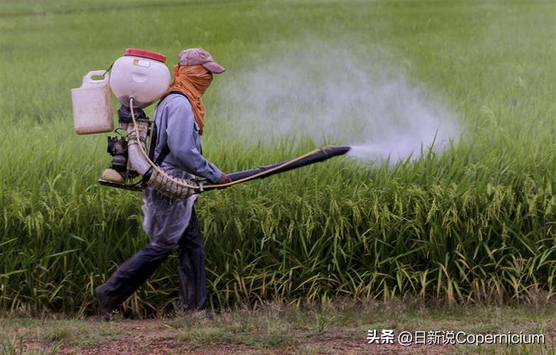 化肥运输中断,联合国催美伊再谈不拢就晚了